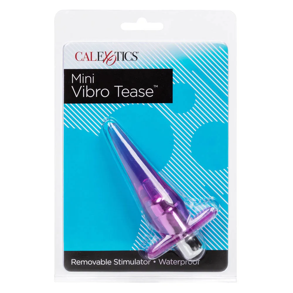 Mini Vibro Tease Anal Plug With Vibrating Bullet