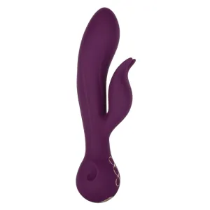 Obsession - Desire - Purple