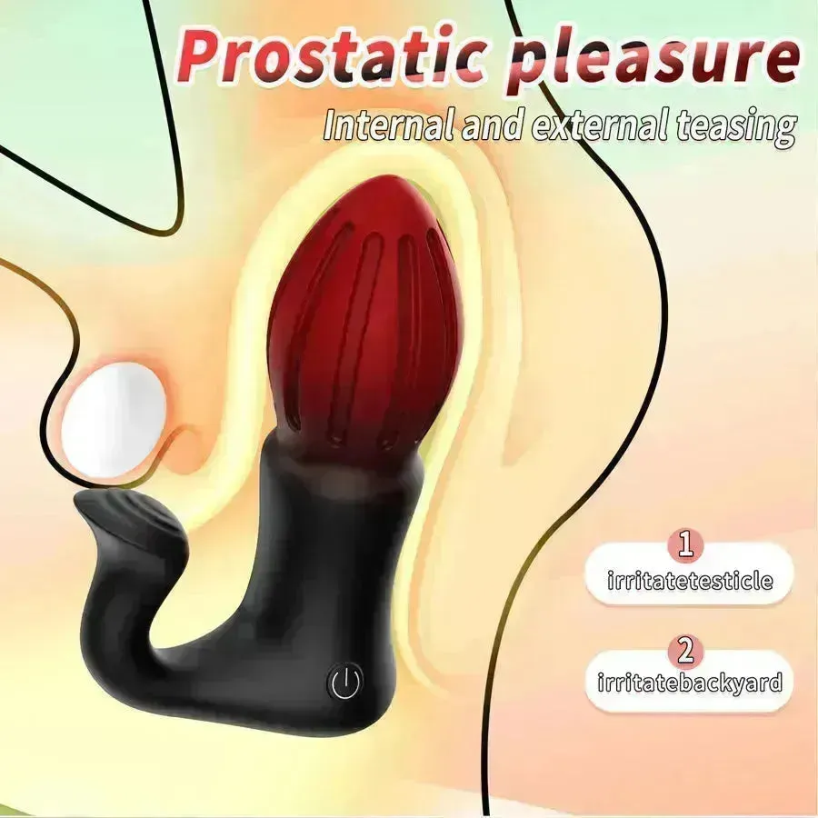 Remote Beginner Vibrating Anal Plug