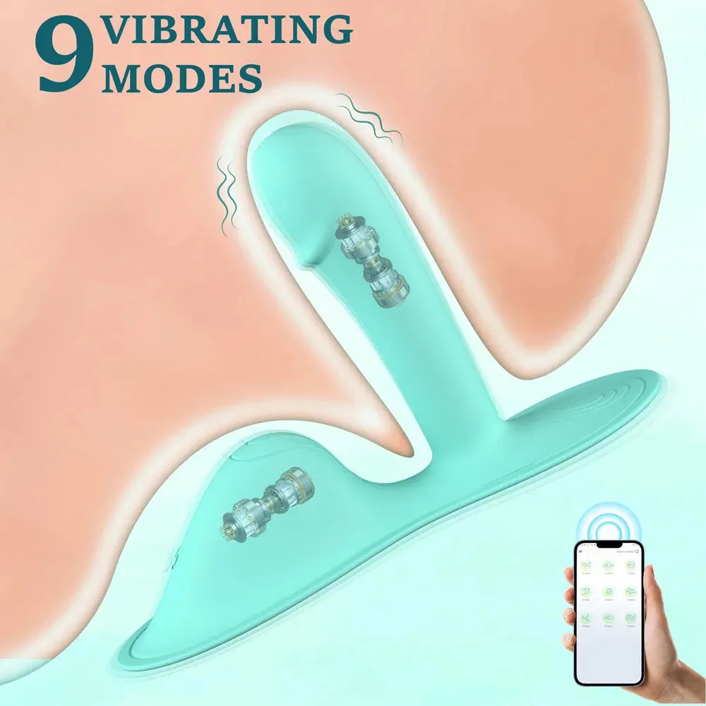 Xinghaoya APP Controlled Sex Grinder